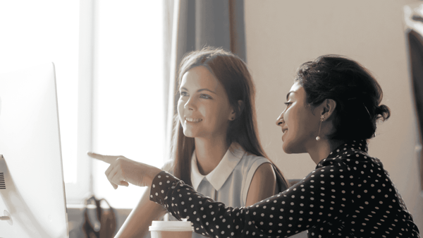 MentorResources WisdomShare Mentoring Software (7)